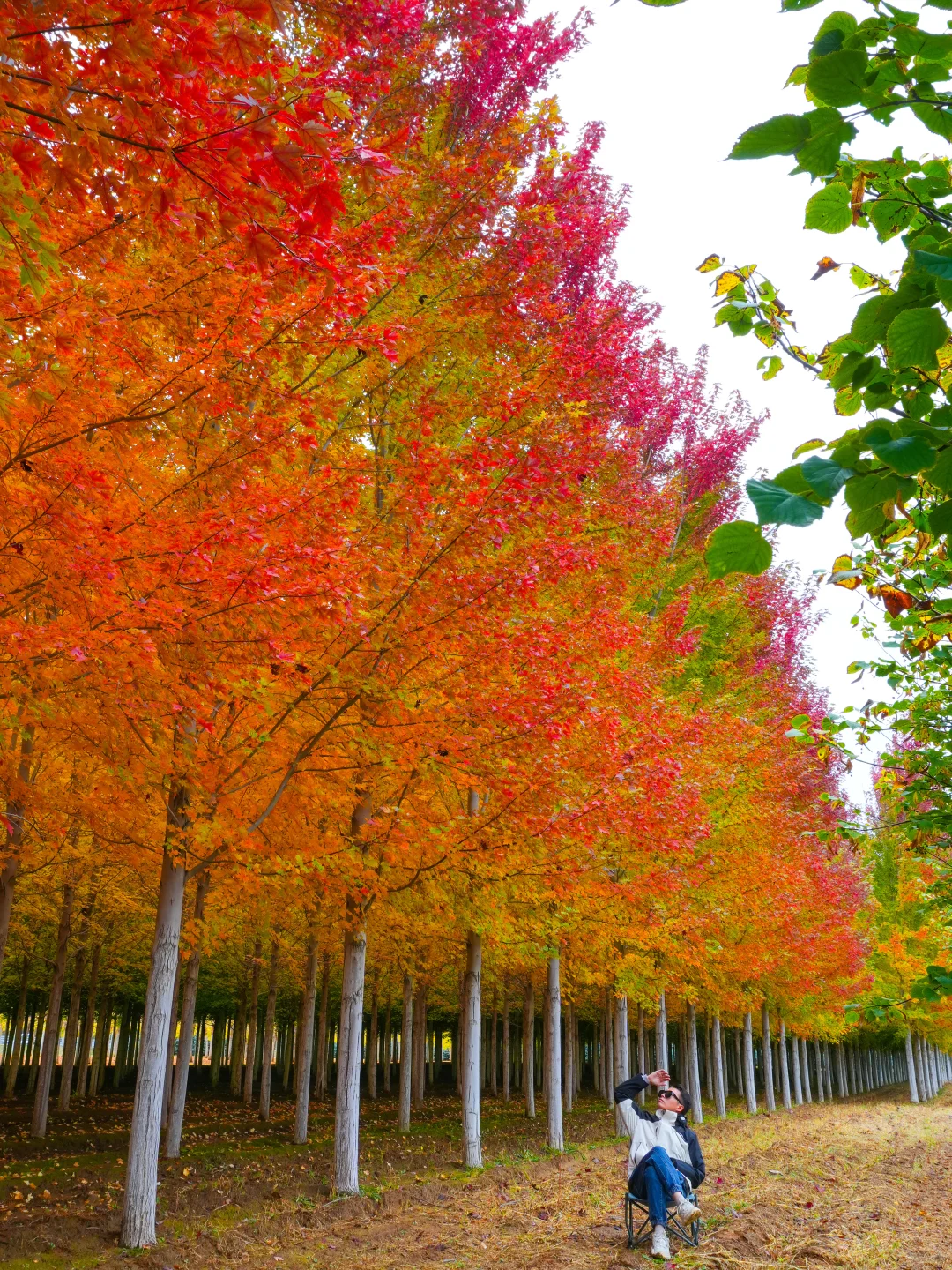 10.12实况，京郊2h🚗秋天必须去的宝藏秘境🍁