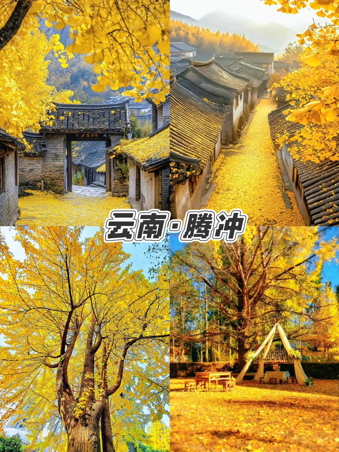🍁9-12月必打卡城市，美到窒息，错过等一年！