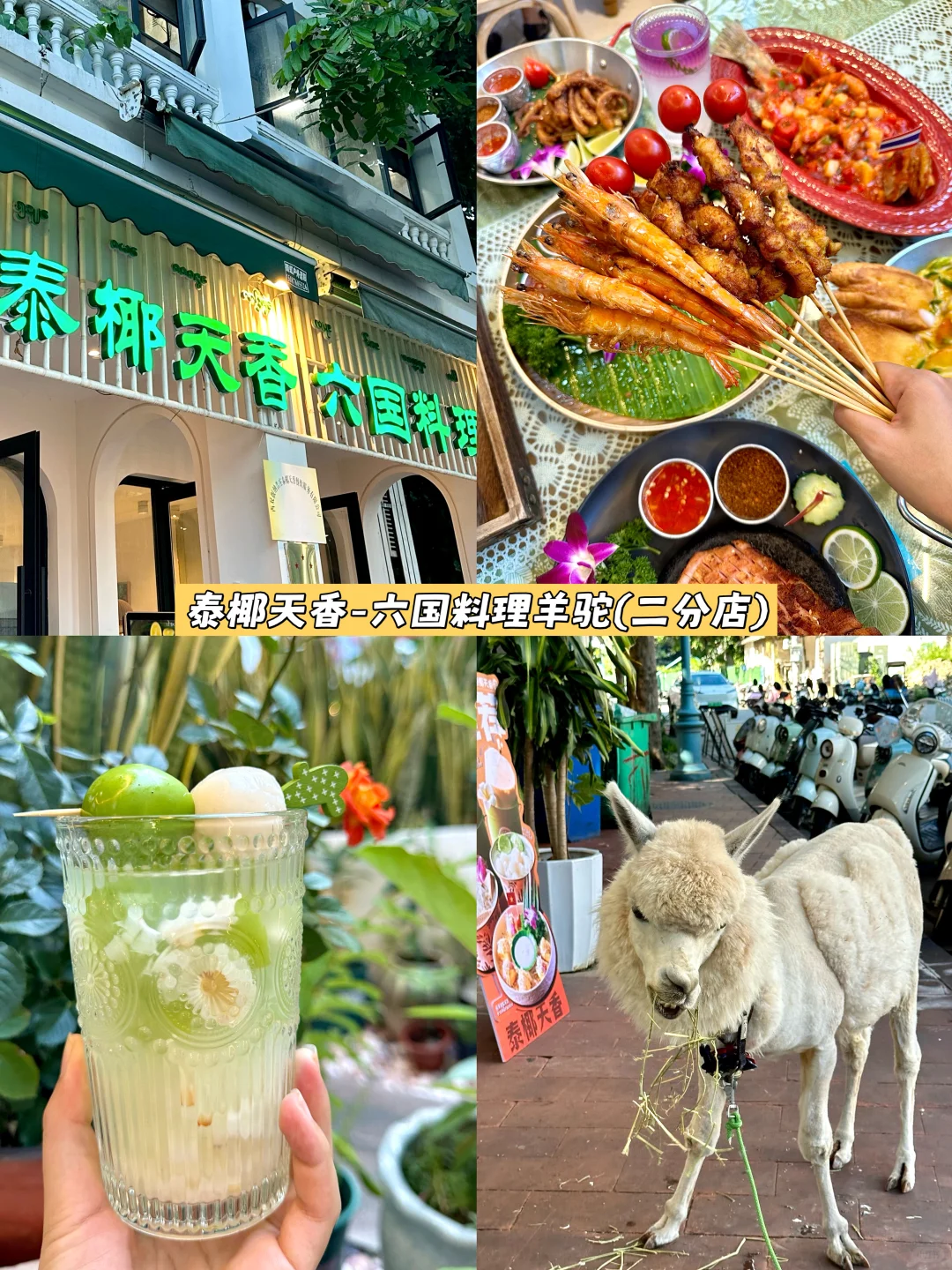 版纳3日游｜8大景点+美食住宿