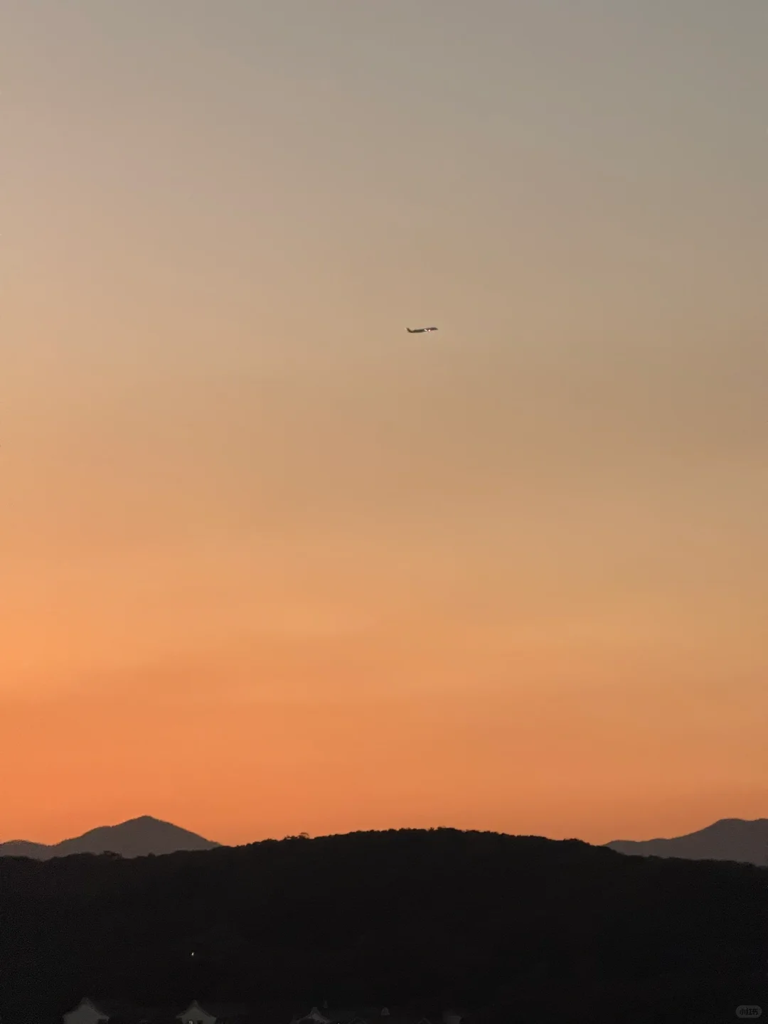 🌟 普陀山:一个人的朝圣之旅