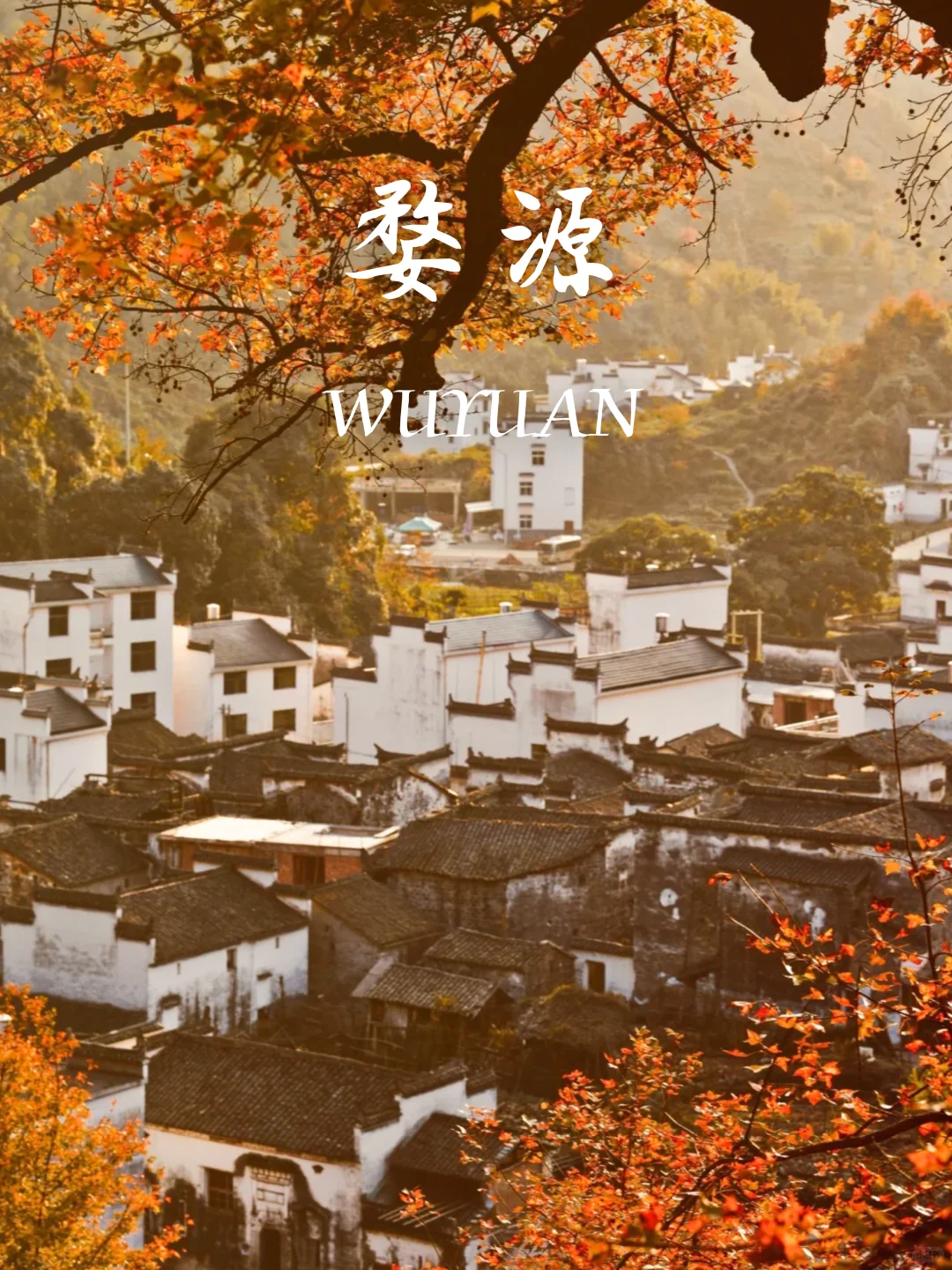 9-11月国内赏秋没有平替‼️个个都是天花板
