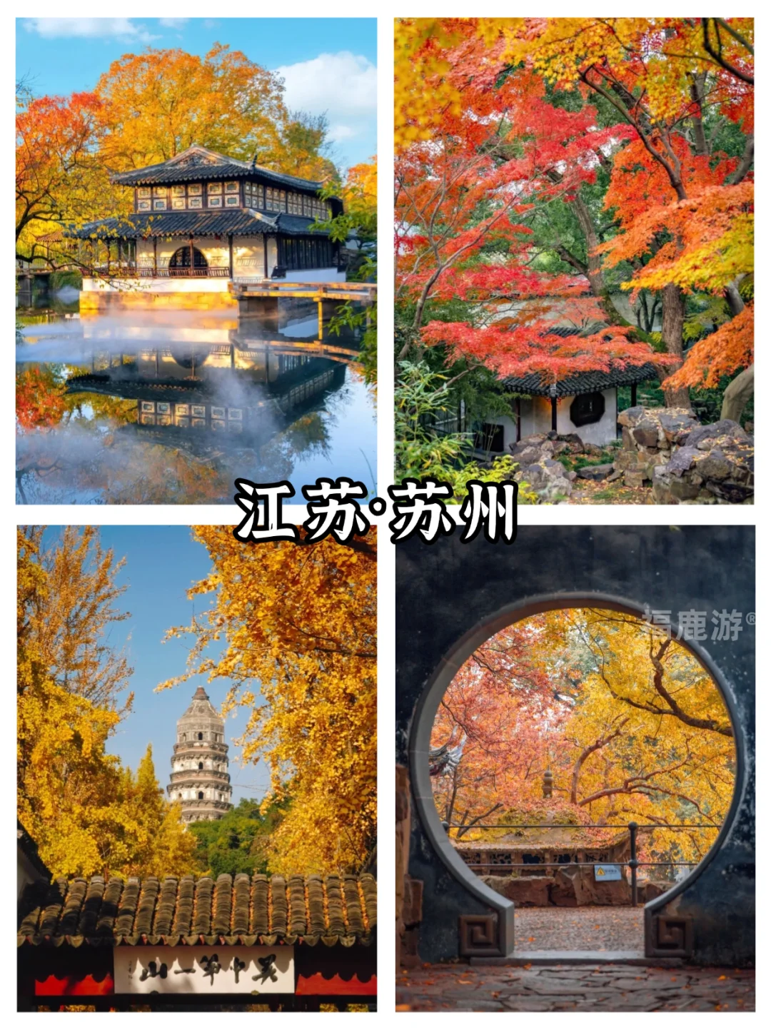 全国10-12月赏秋保姆级攻略|收藏这篇就够了
