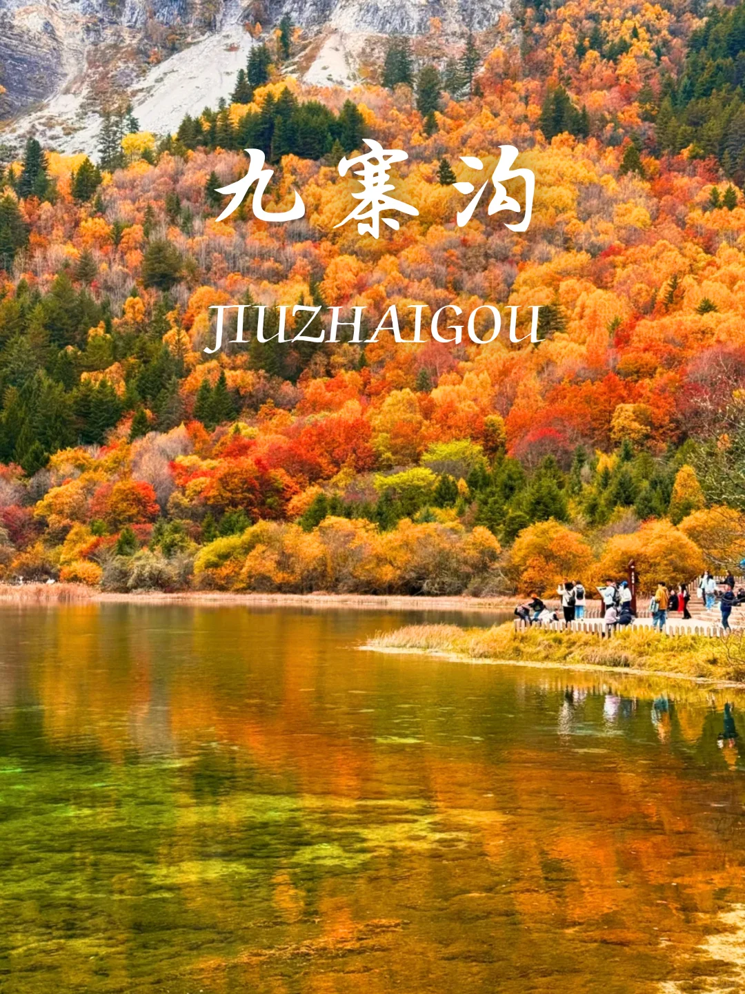 9-11月国内赏秋没有平替‼️个个都是天花板