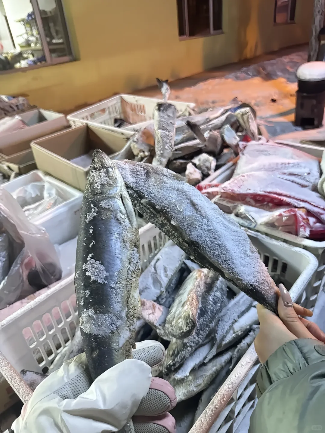 国内唯一能看到极光的地方