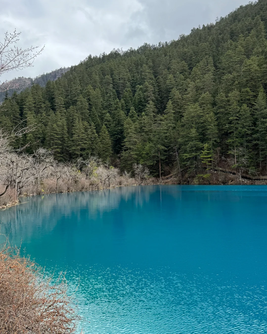 🇲🇾🇨🇳无滤镜的九寨沟 传说中的人间仙境