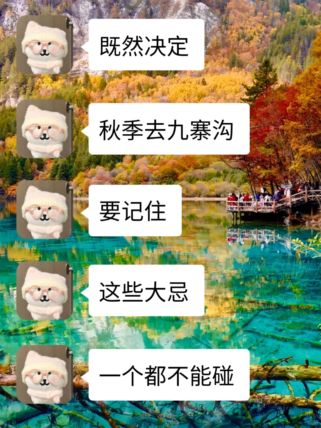 10-11月准备来九寨沟玩的❗千万要注意⚠️