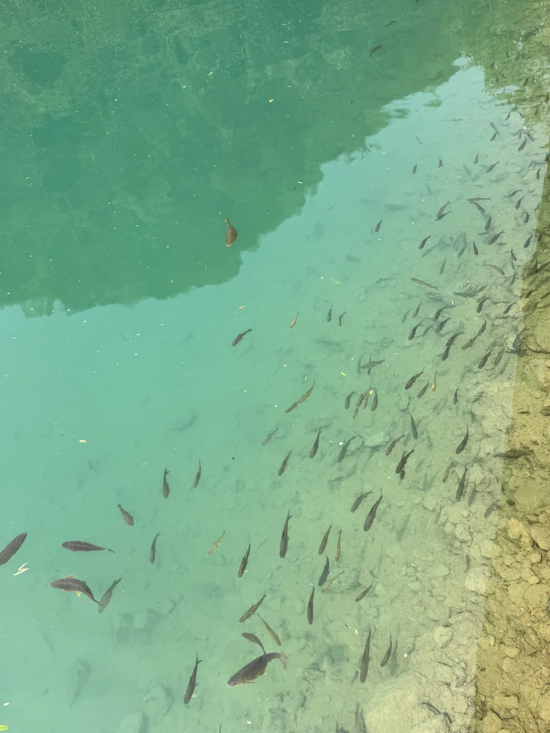 荔波小七孔-人间绿宝石