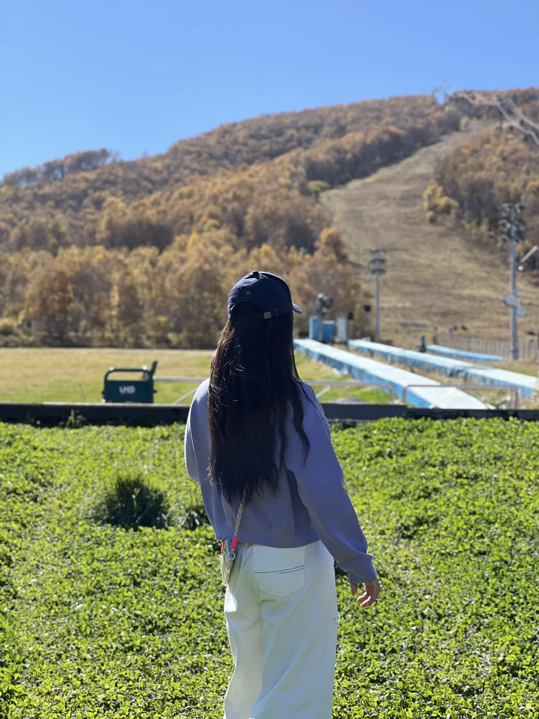 25.10.2崇礼秋景实时播报🍂真的可以冲了