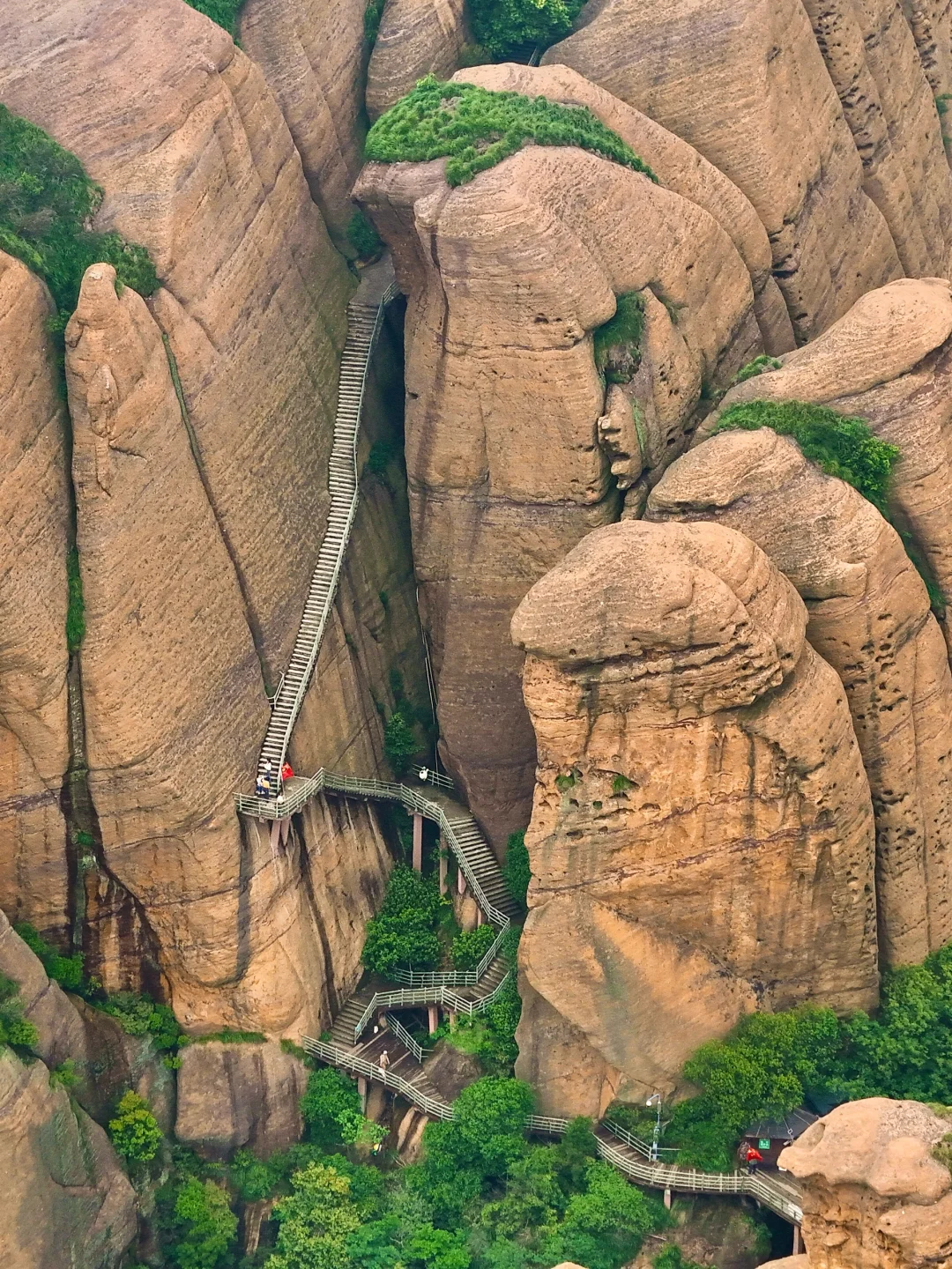 （live）以为武功山够美了，直到我去了这里……