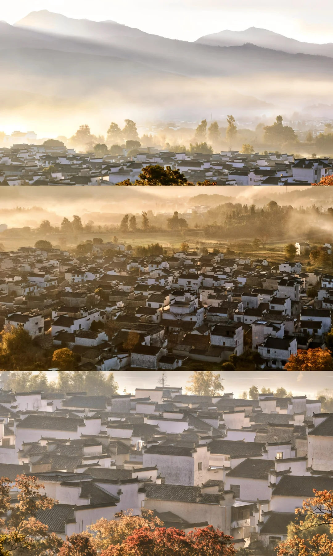 接下来的皖南，堪称秋色天花板