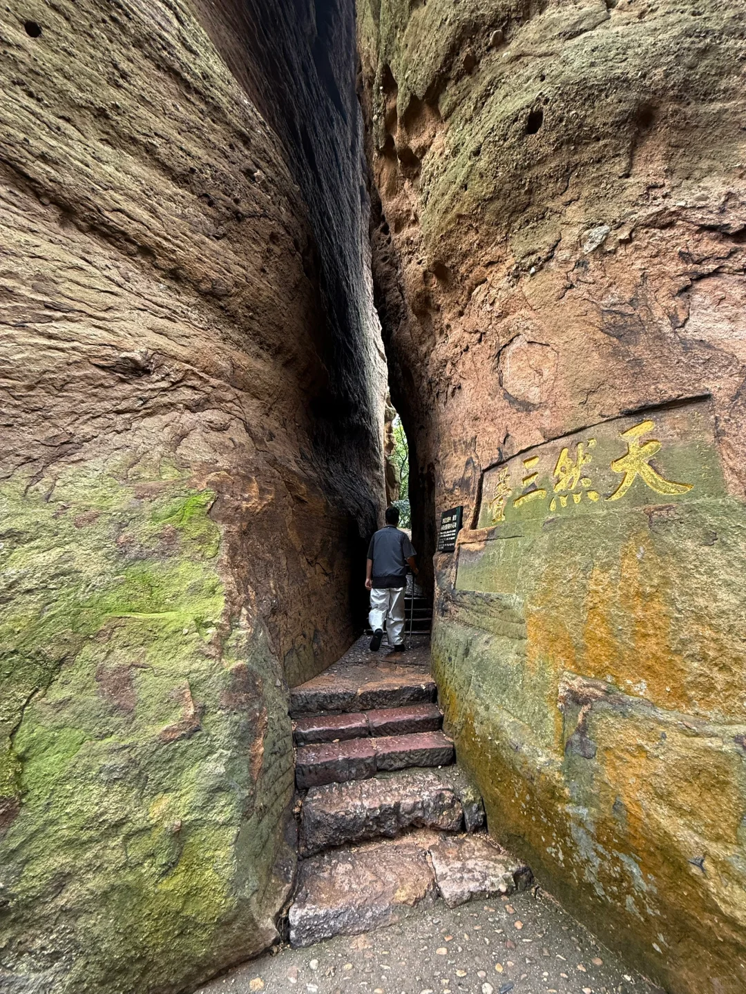 （live）以为武功山够美了，直到我去了这里……