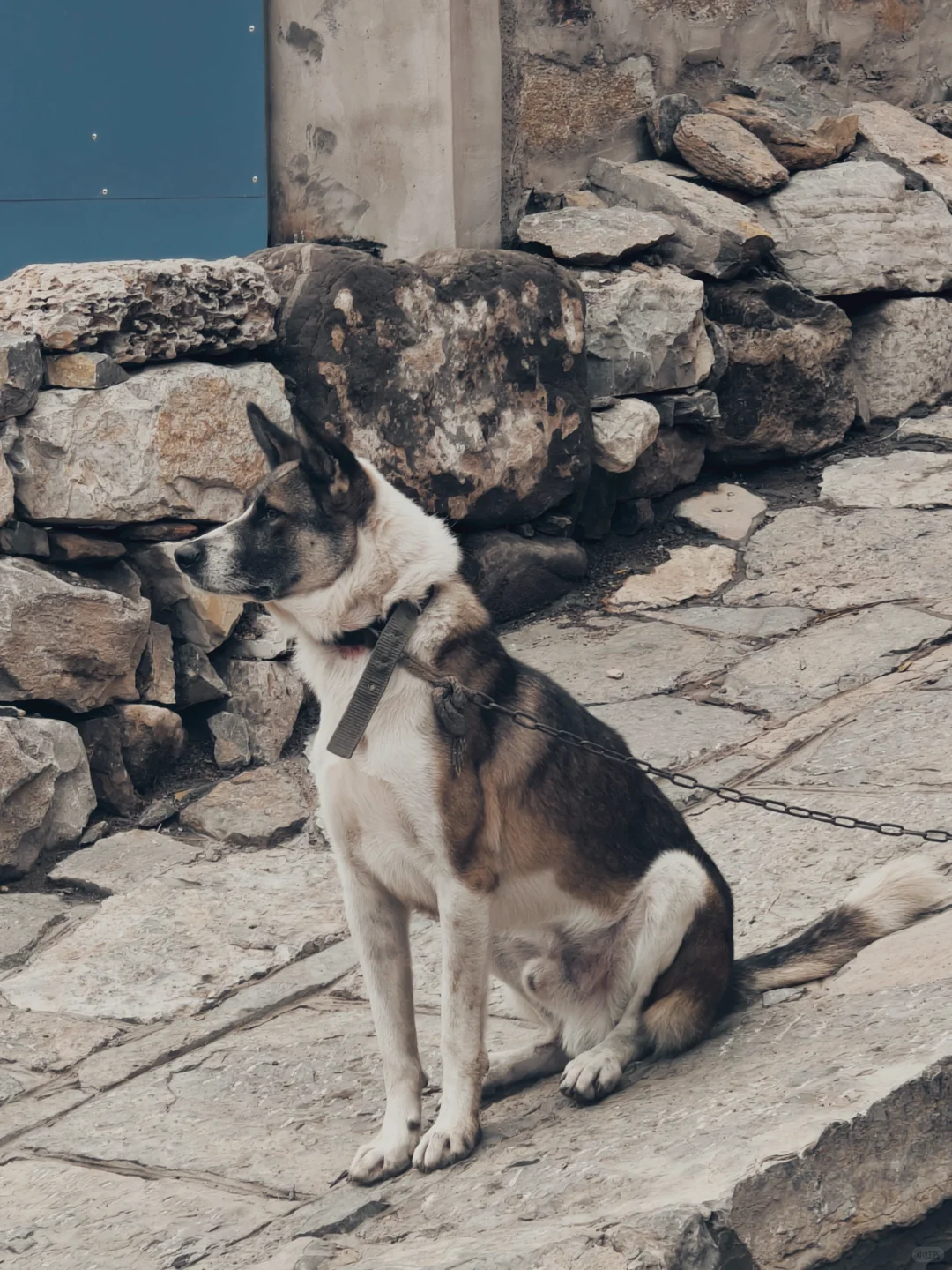 邯郸反向出行小众去处💡