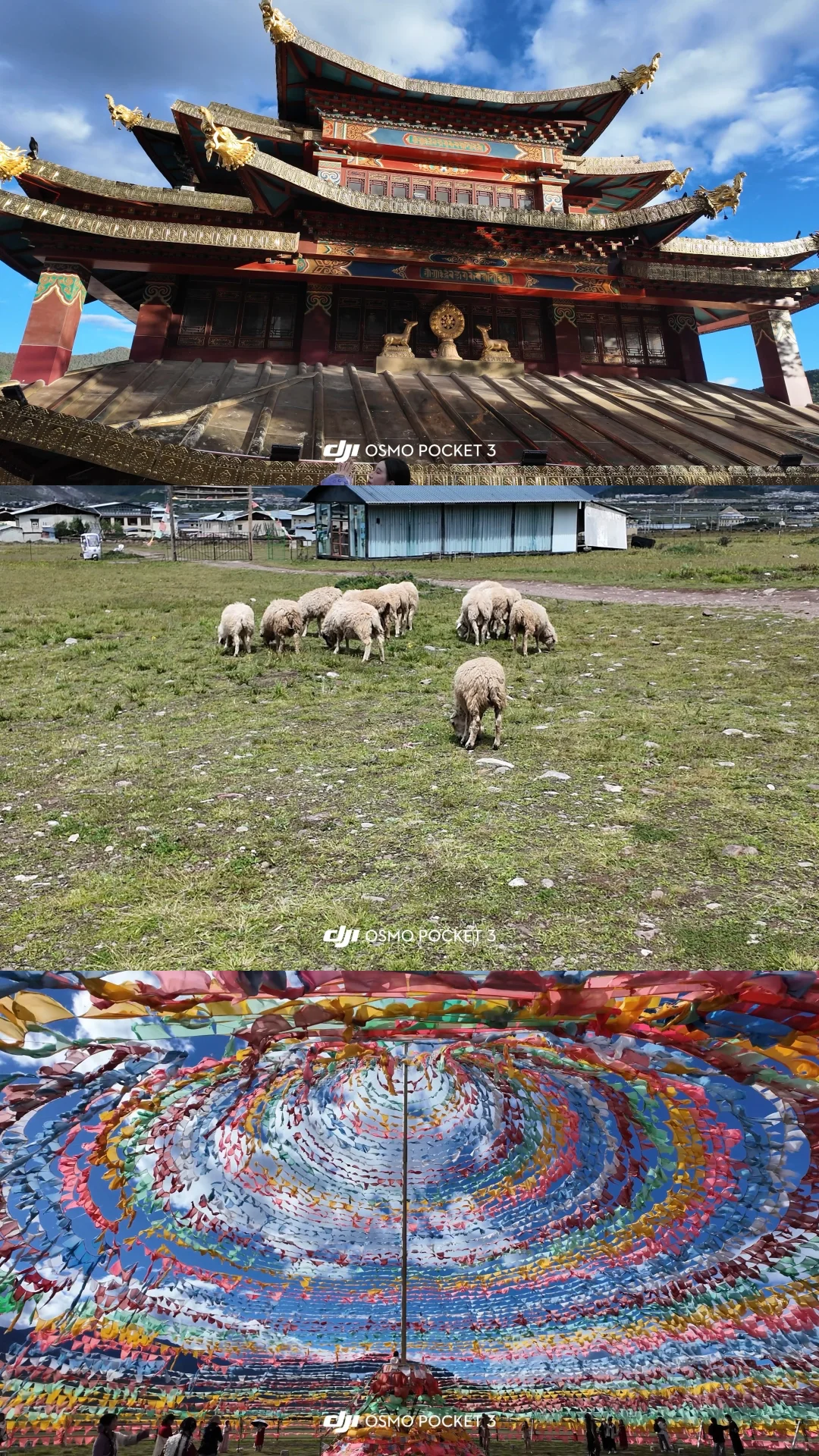 13张记录我和香格里拉