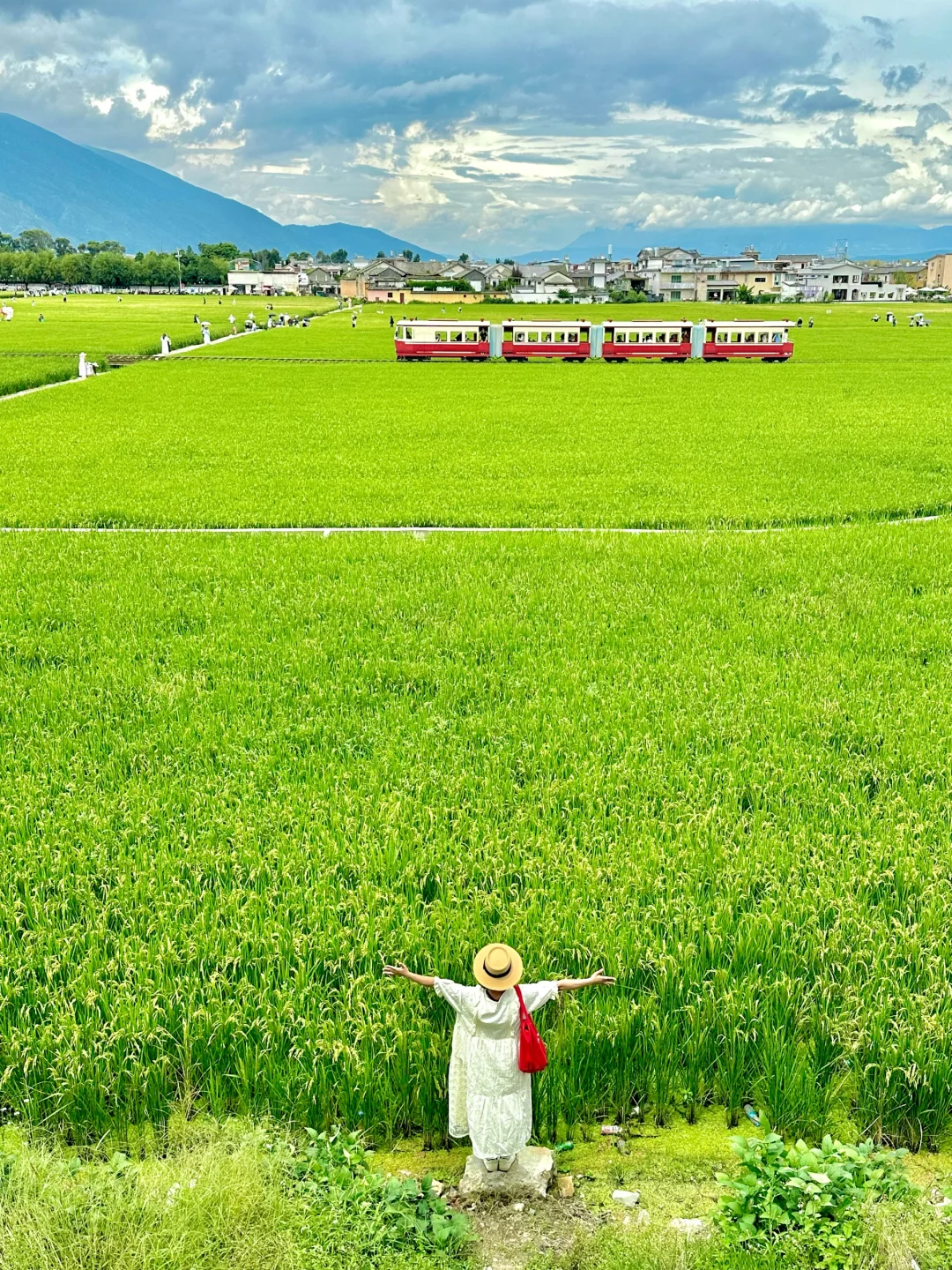 从丽江到大理，裸辞定居的心已到达巅峰。。。。