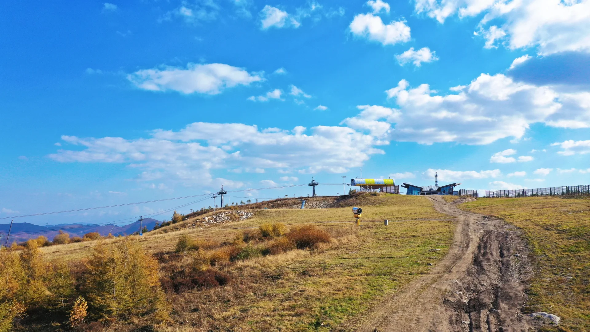 25.10.2崇礼秋景实时播报🍂真的可以冲了