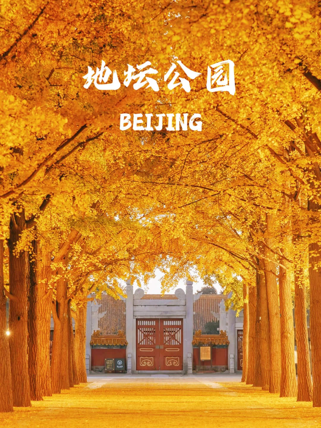 下个月的北京，要美爆了！