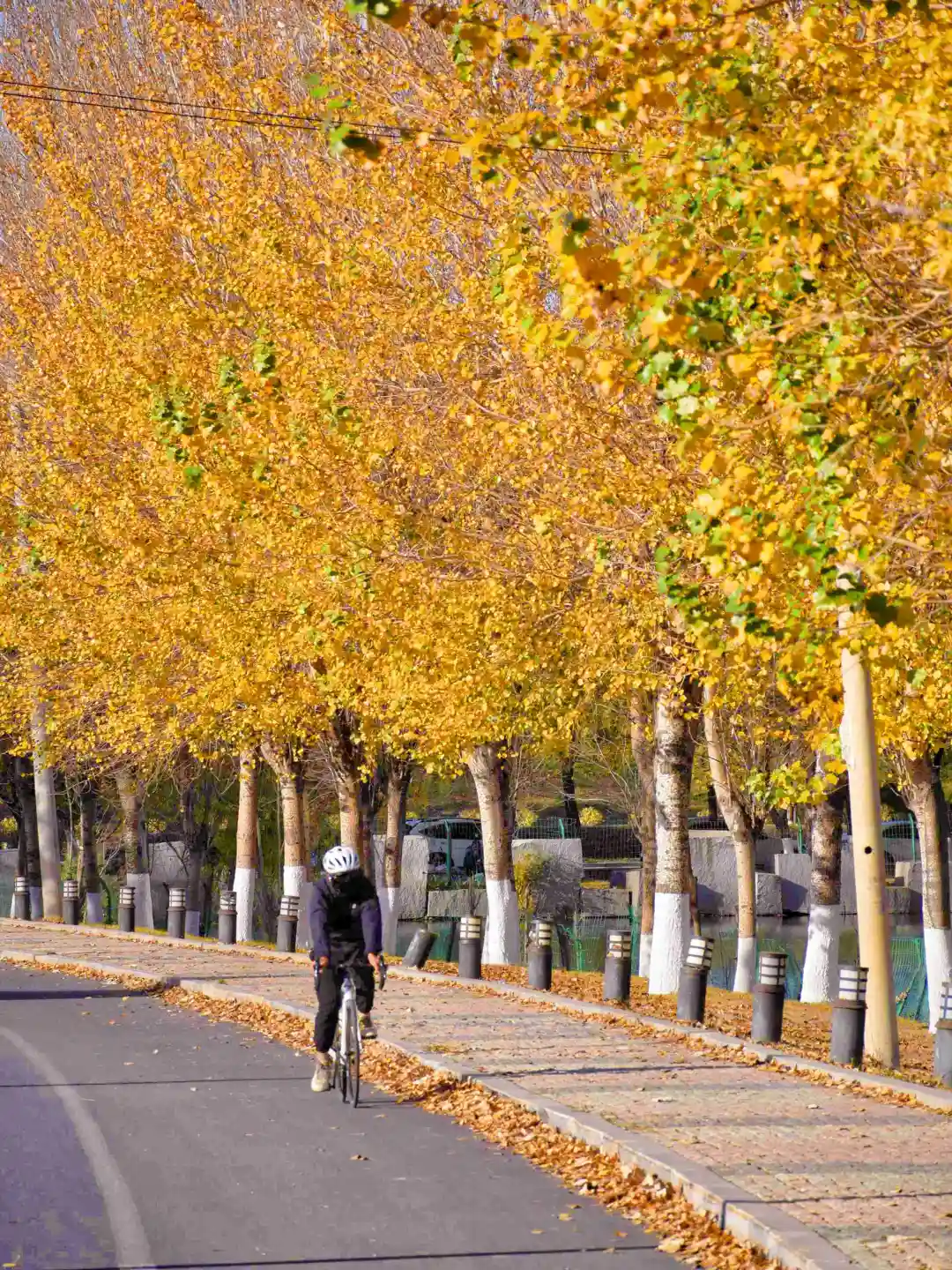 迄今为止，我最喜欢的秋季旅游城市出现了…