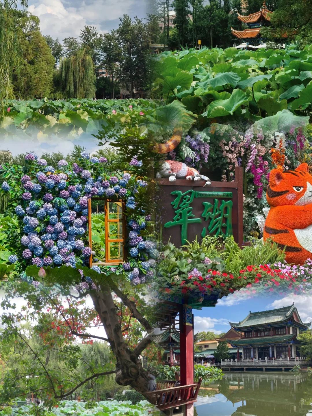 昆明六个必打卡景点（详细攻略拿走不谢）