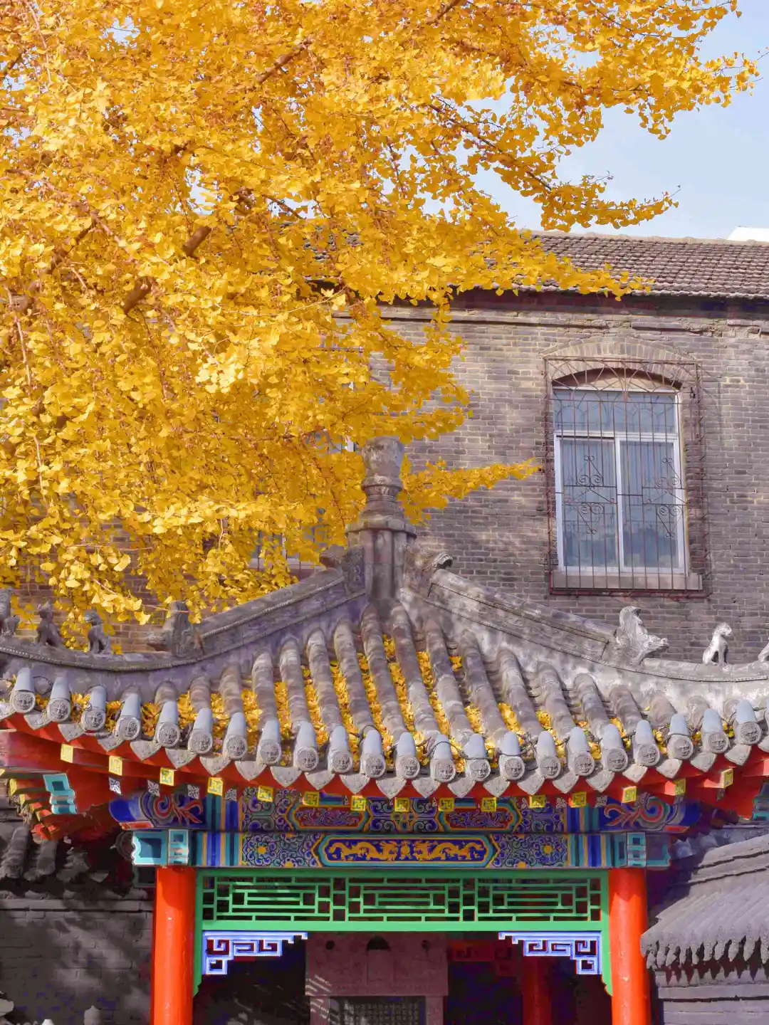 迄今为止，我最喜欢的秋季旅游城市出现了…