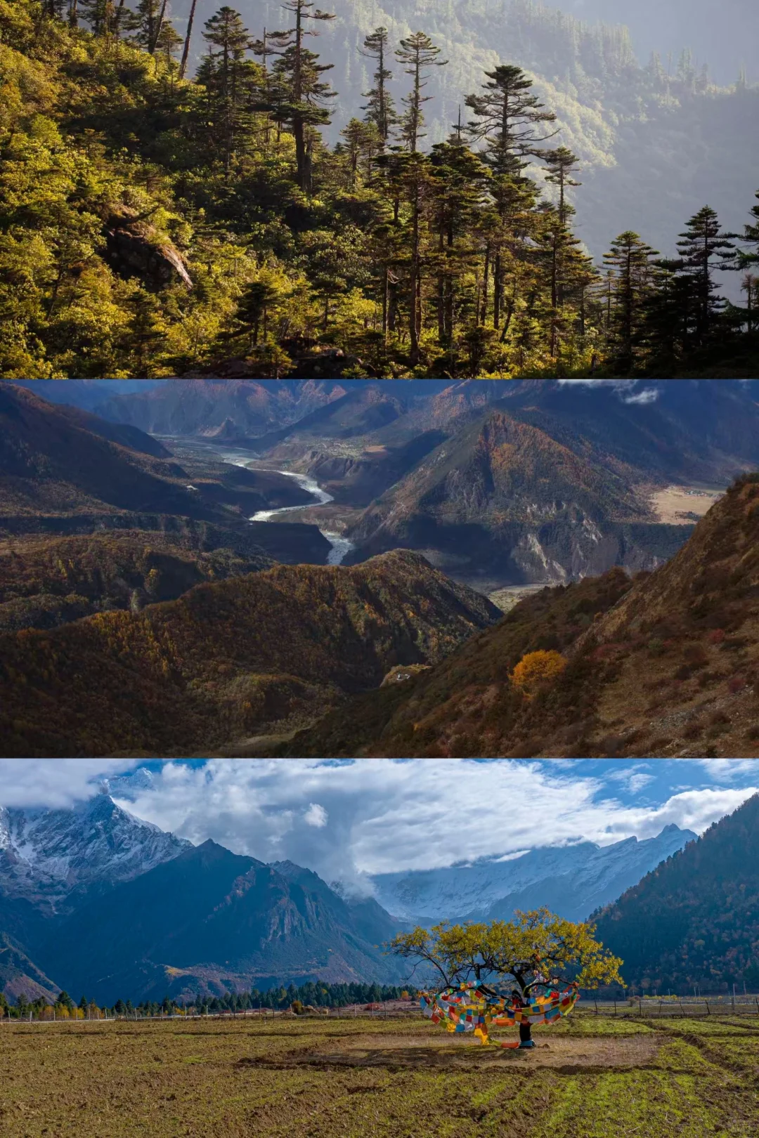 林芝的秋天旅游攻略
