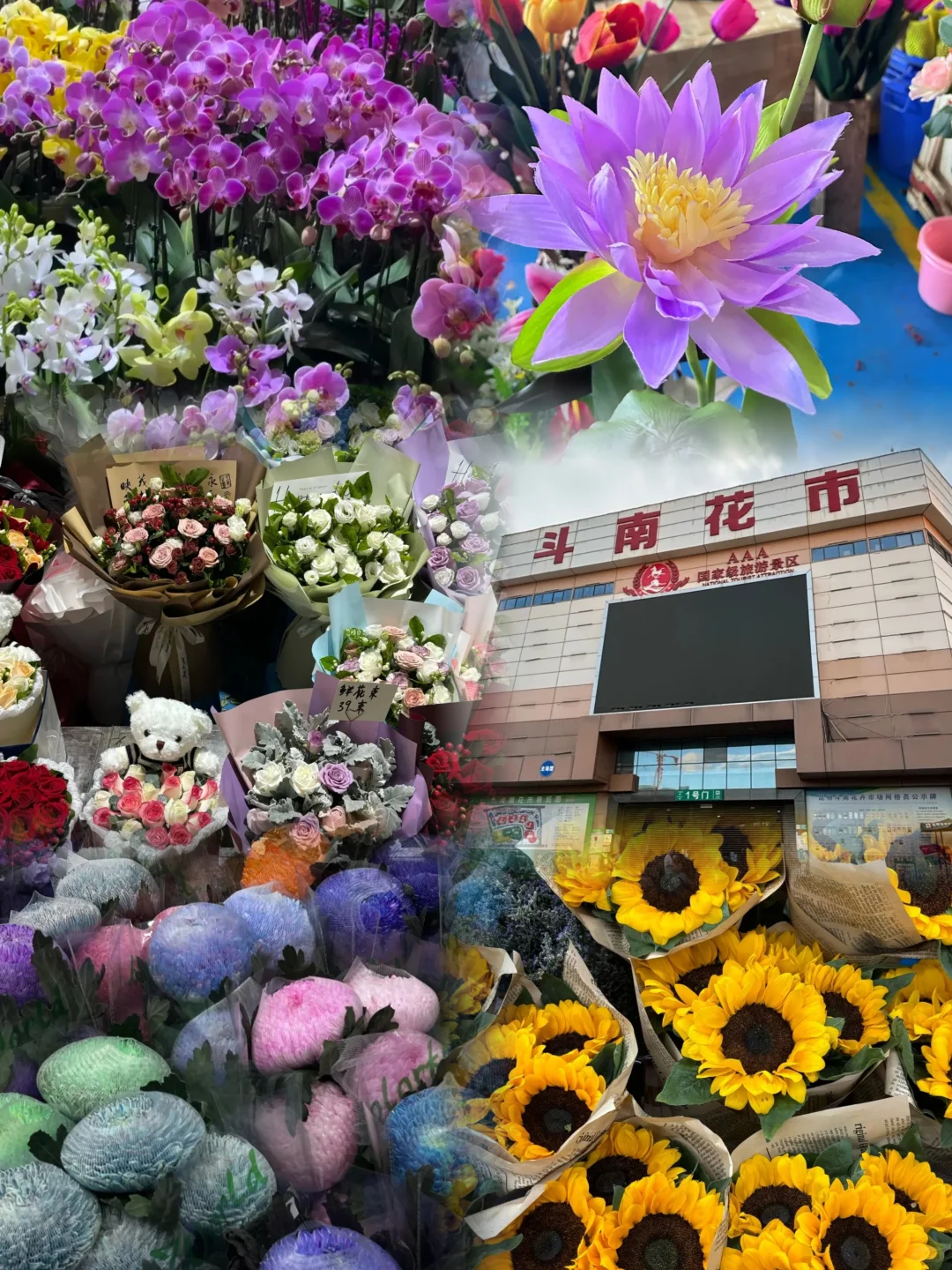 昆明六个必打卡景点（详细攻略拿走不谢）