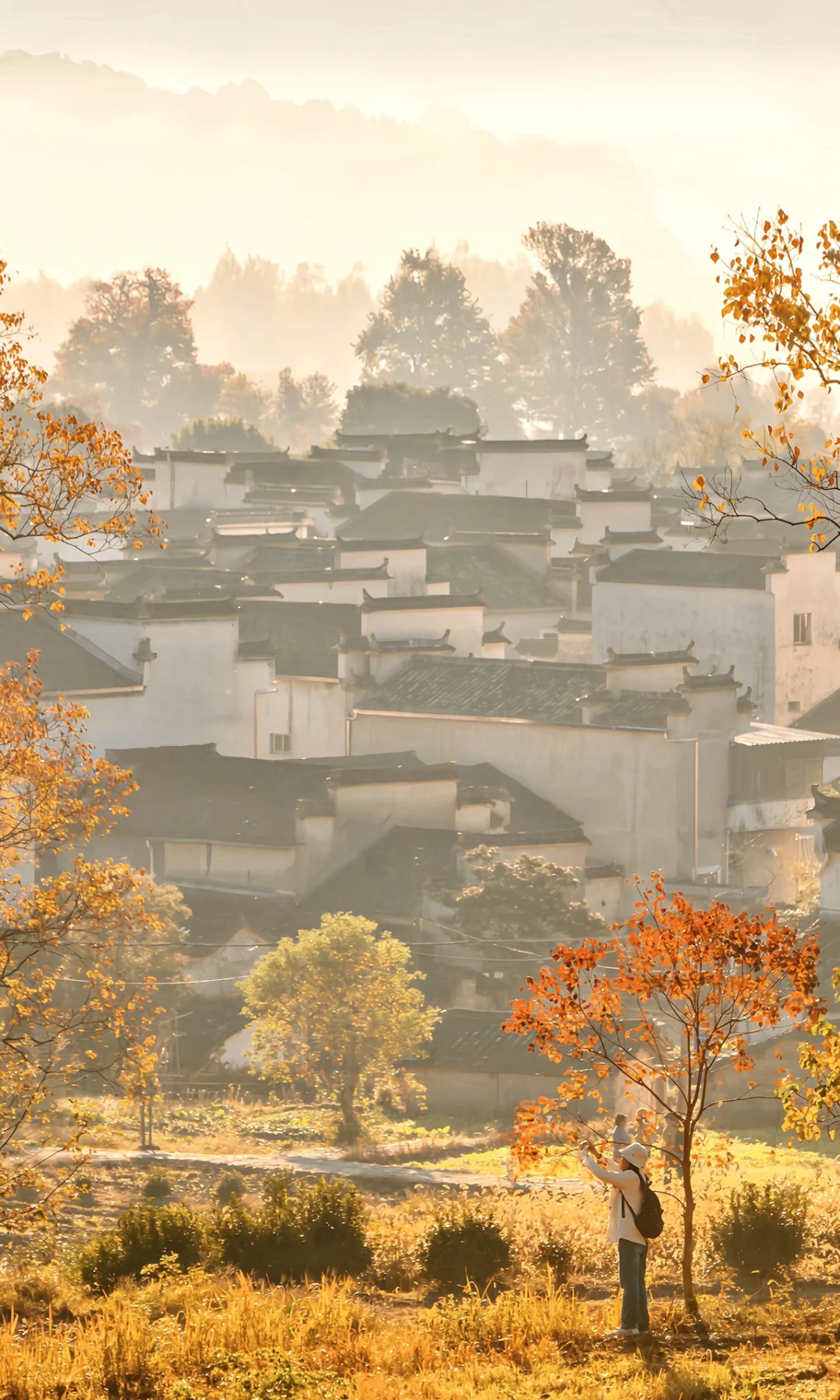 接下来的皖南，堪称秋色天花板