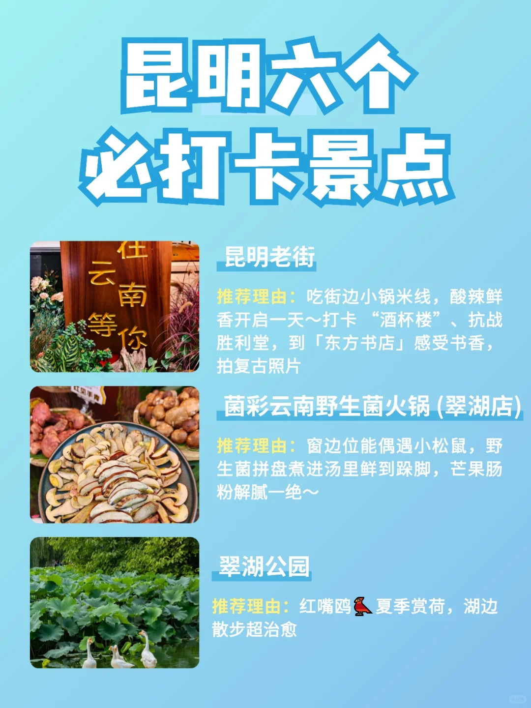 昆明六个必打卡景点（详细攻略拿走不谢）