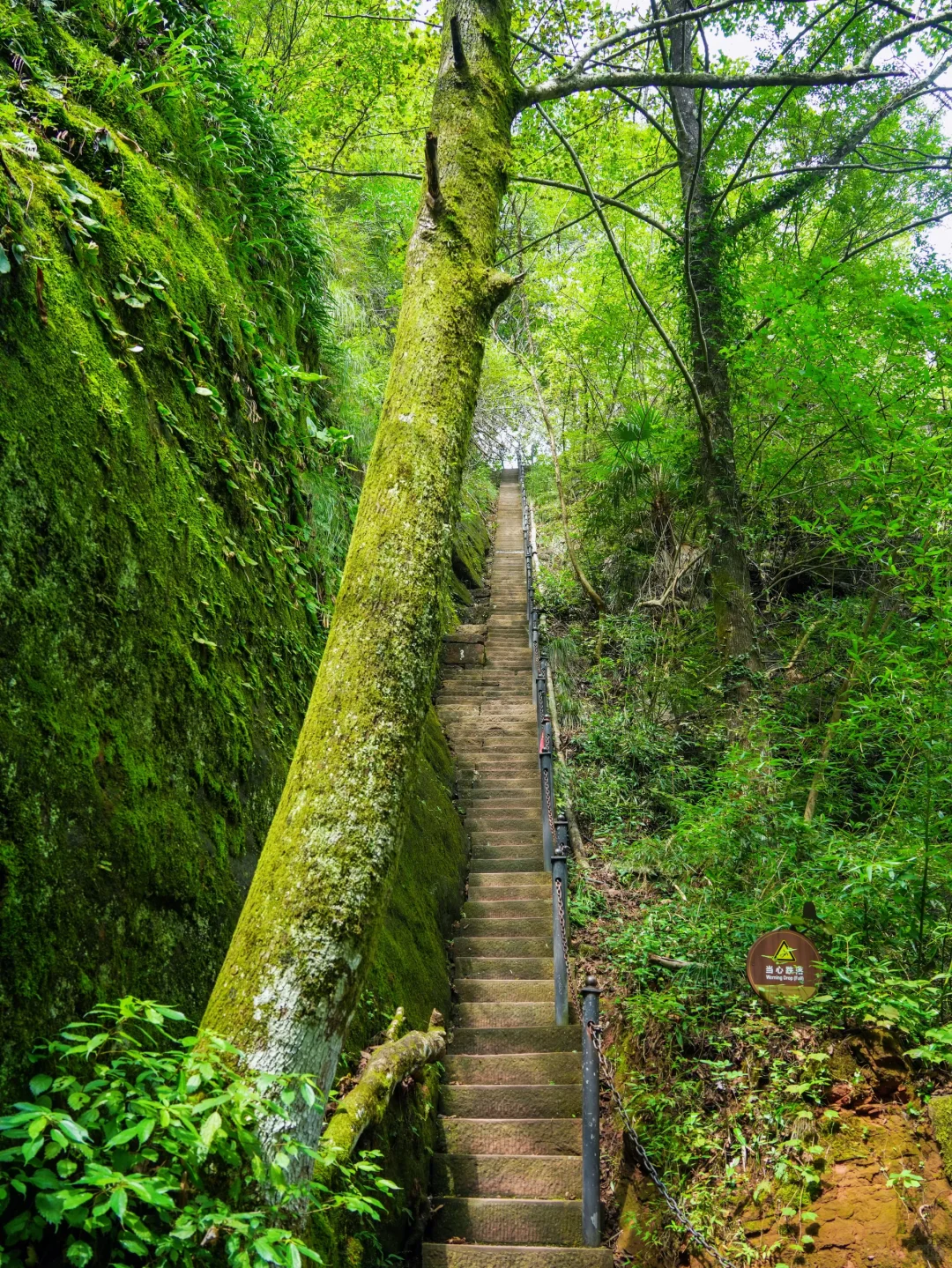 以为黄山够美了，直到我去了隔壁这里……⛰️