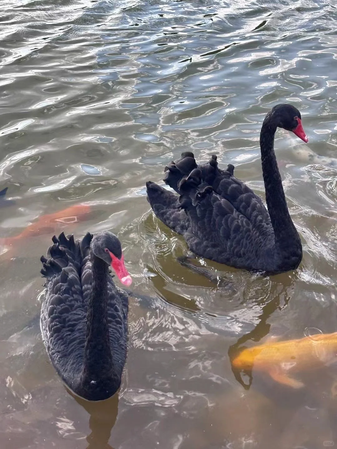 昆明旅行攻略 | 必打卡景点+美食一网打尽！
