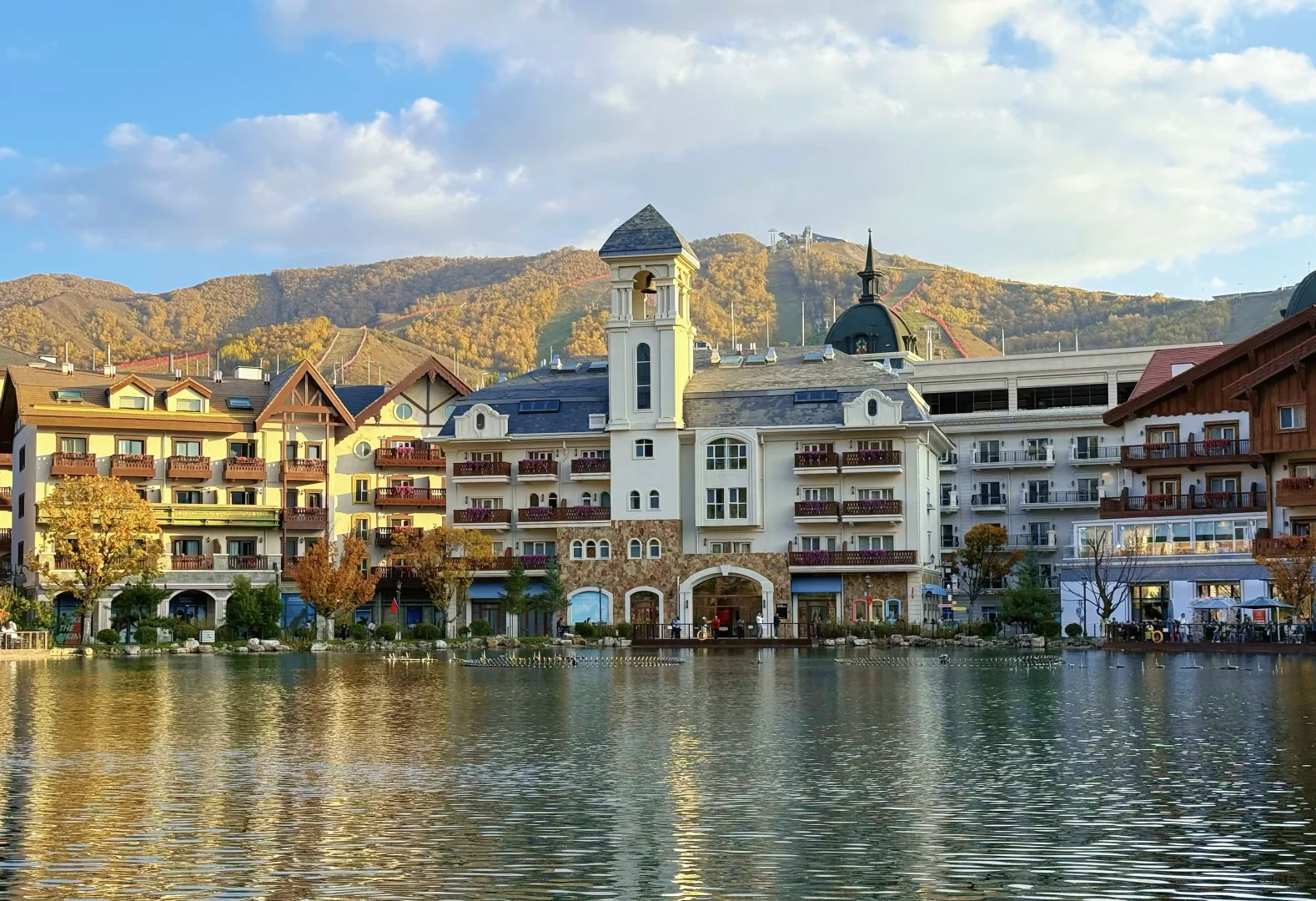 25.10.2崇礼秋景实时播报🍂真的可以冲了