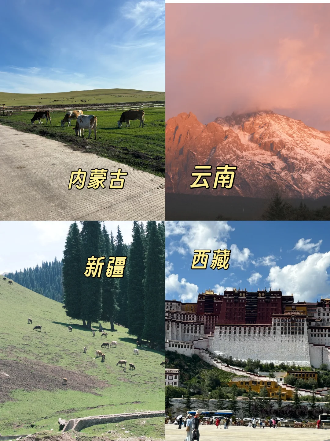 对于内蒙古 新疆 云南 西藏 的区别