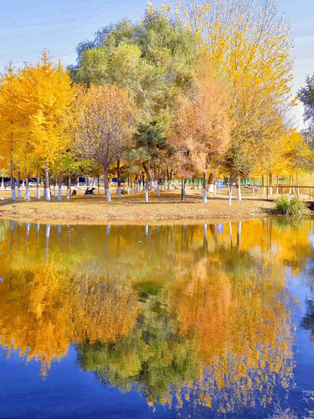 迄今为止，我最喜欢的秋季旅游城市出现了…