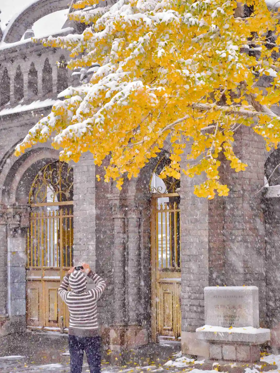 迄今为止，我最喜欢的秋季旅游城市出现了…