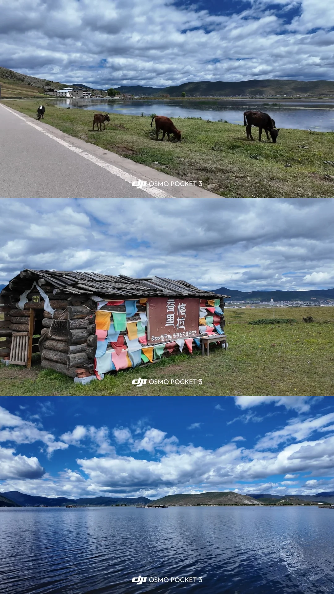 13张记录我和香格里拉