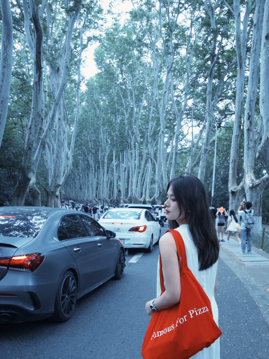 南京|𝐂𝐢𝐭𝐲 𝐖𝐚𝐥𝐤🚶♀️