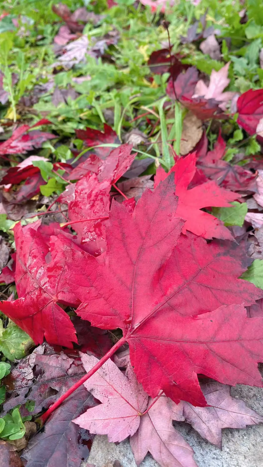 本溪旅游攻略｜本桓公路推荐路线