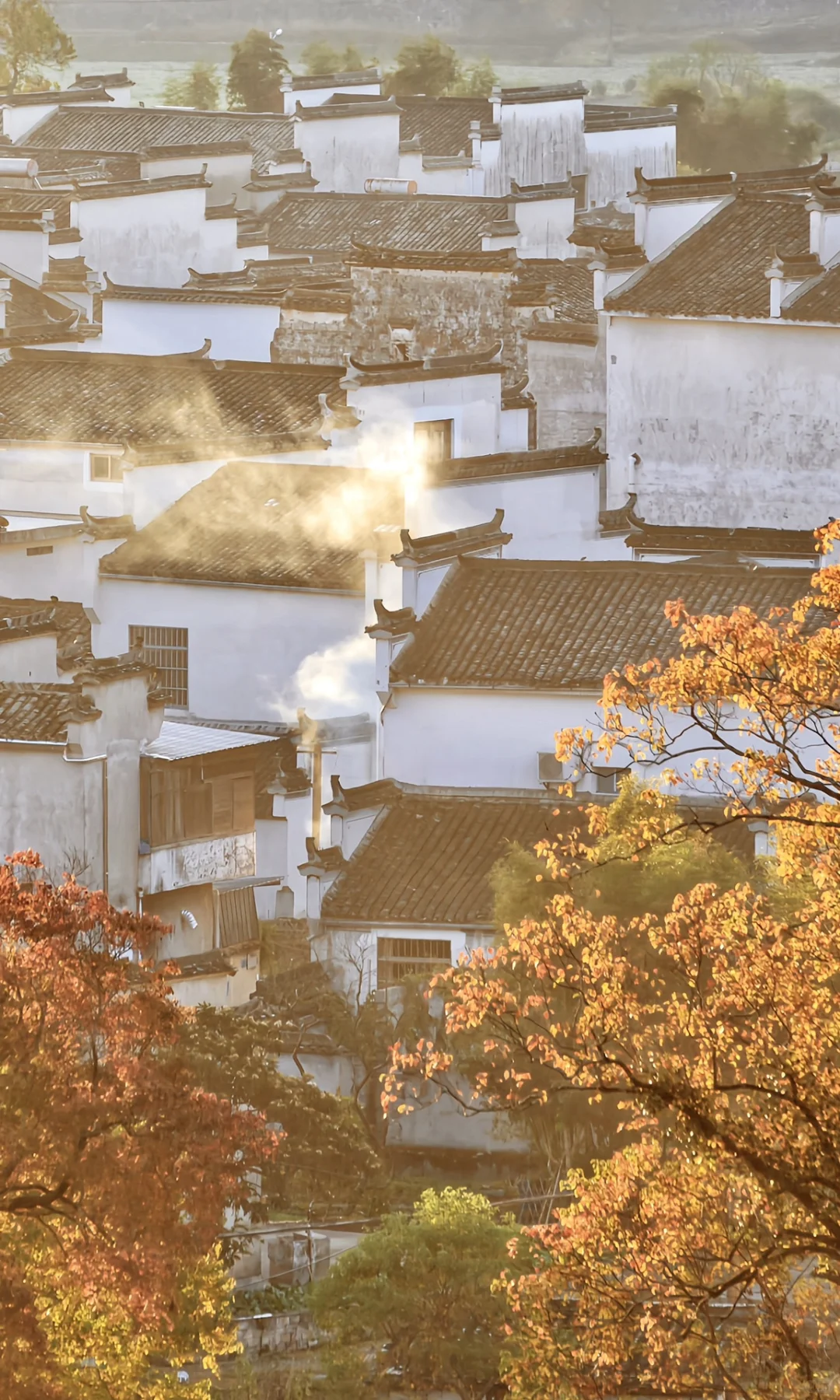 接下来的皖南，堪称秋色天花板