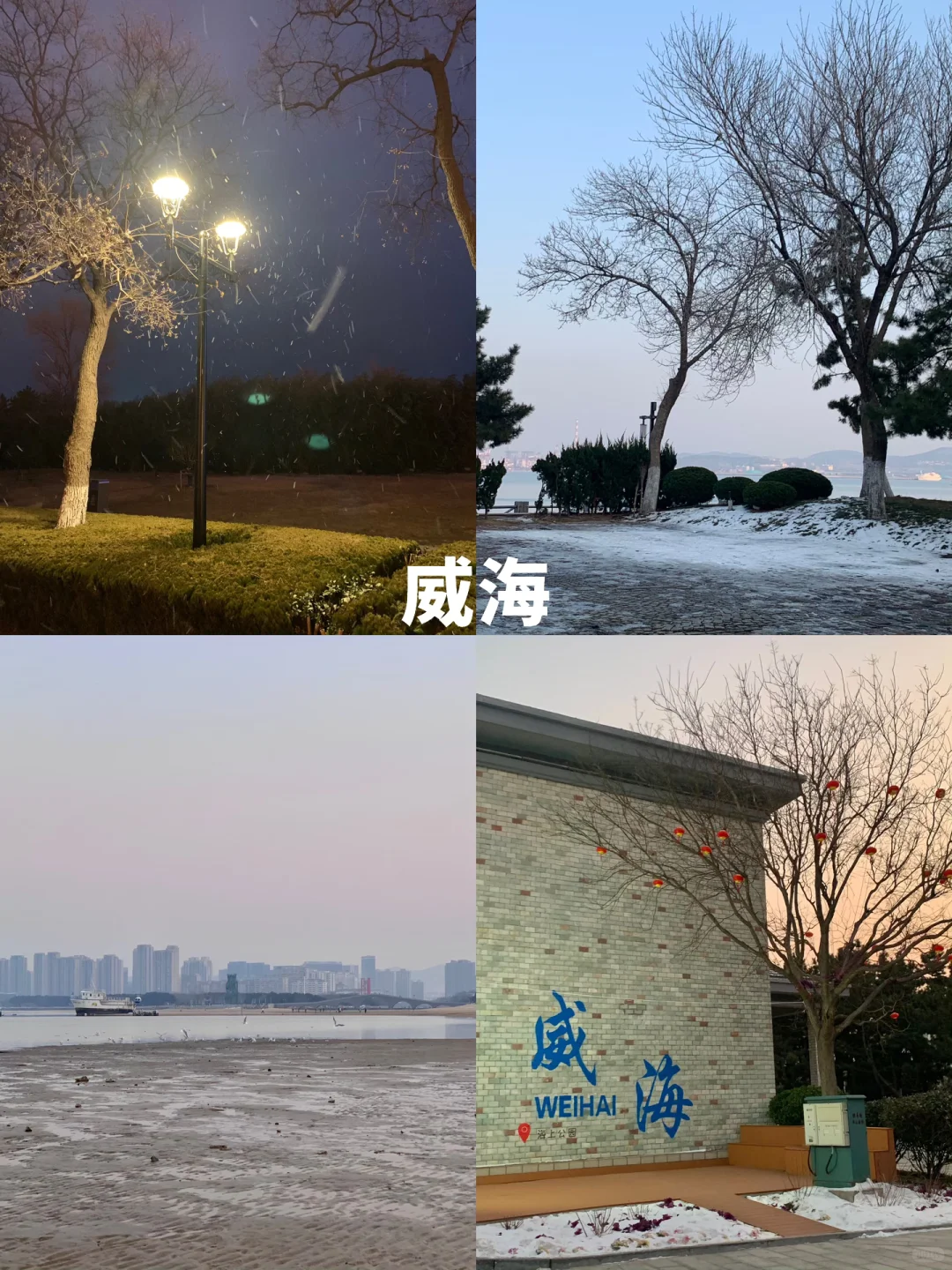 大学生|2K十天勇闯山东追雪❄️
