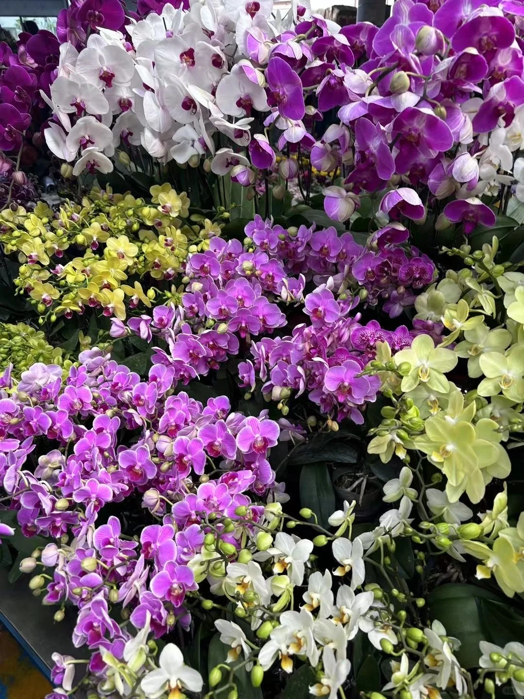 昆明旅行攻略 | 必打卡景点+美食一网打尽！