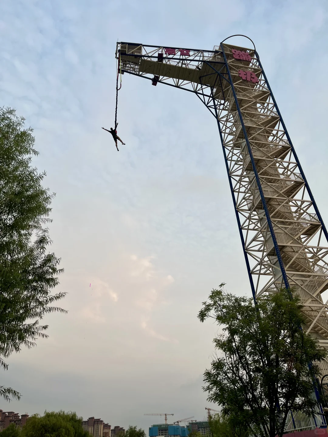 邯郸自驾👉济南|两天一晚遛娃遛狗vlog