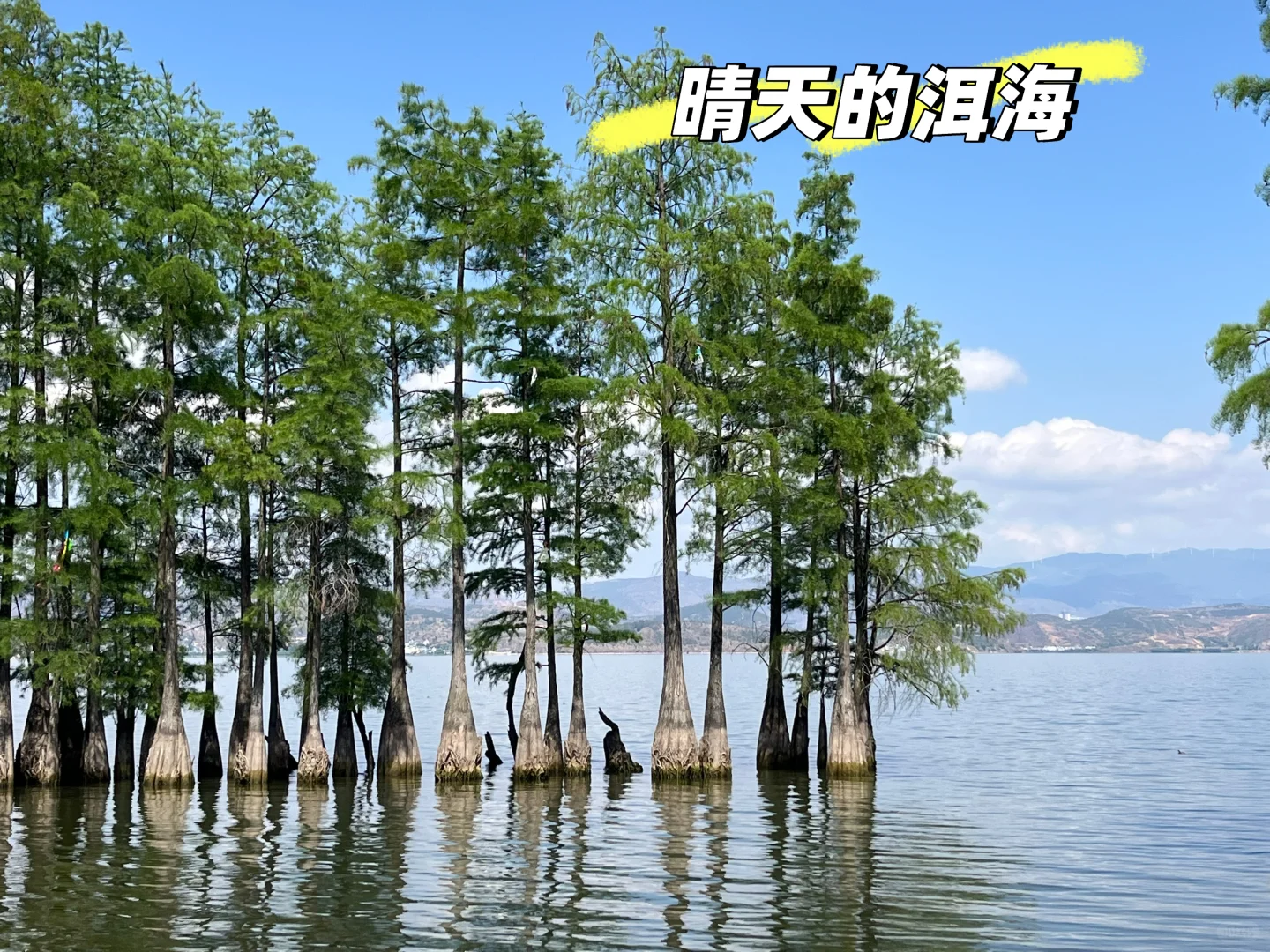 我的云南七日游攻略来啦✈️🌸