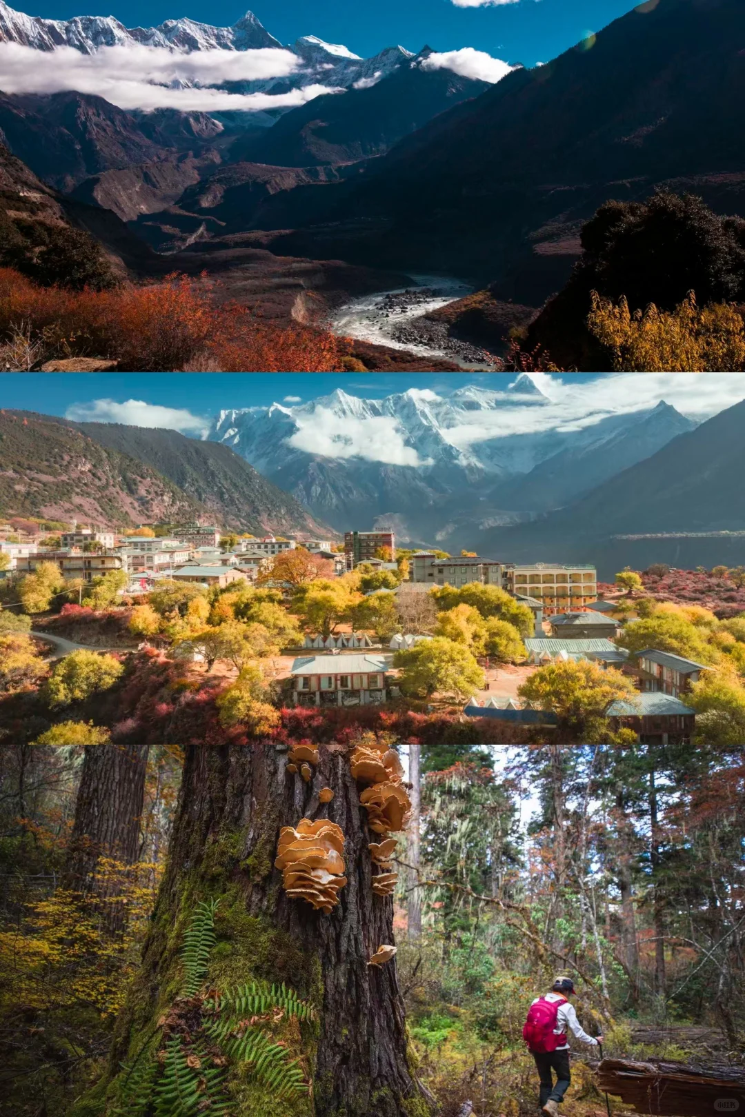 林芝的秋天旅游攻略