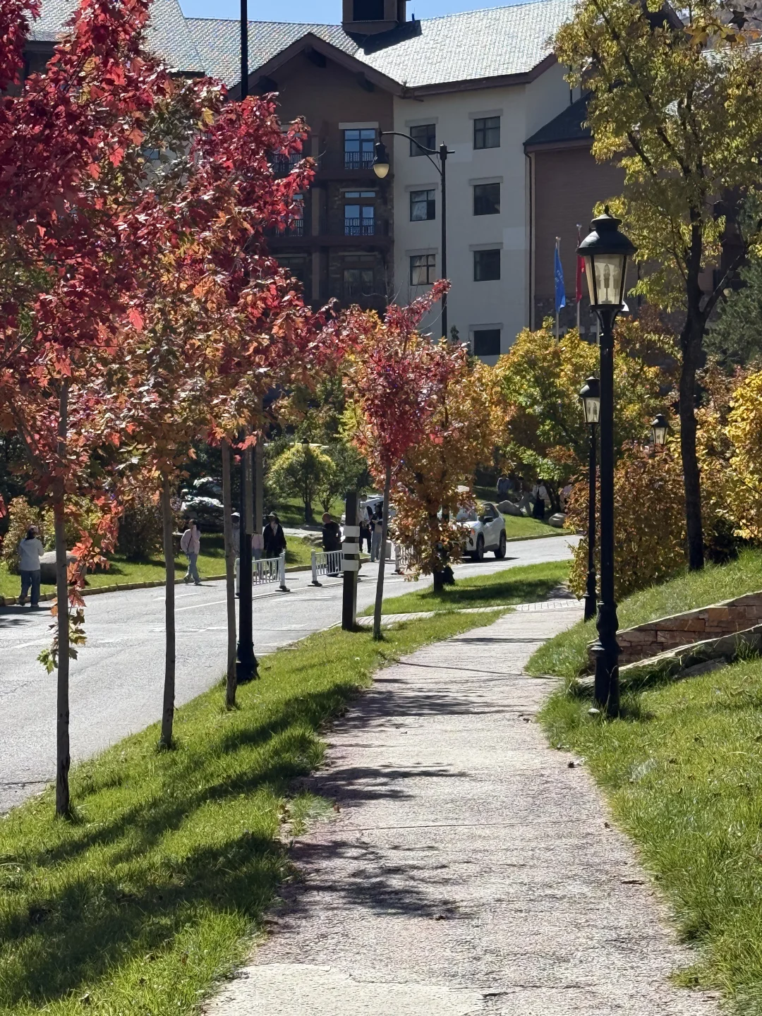 25.10.2崇礼秋景实时播报🍂真的可以冲了