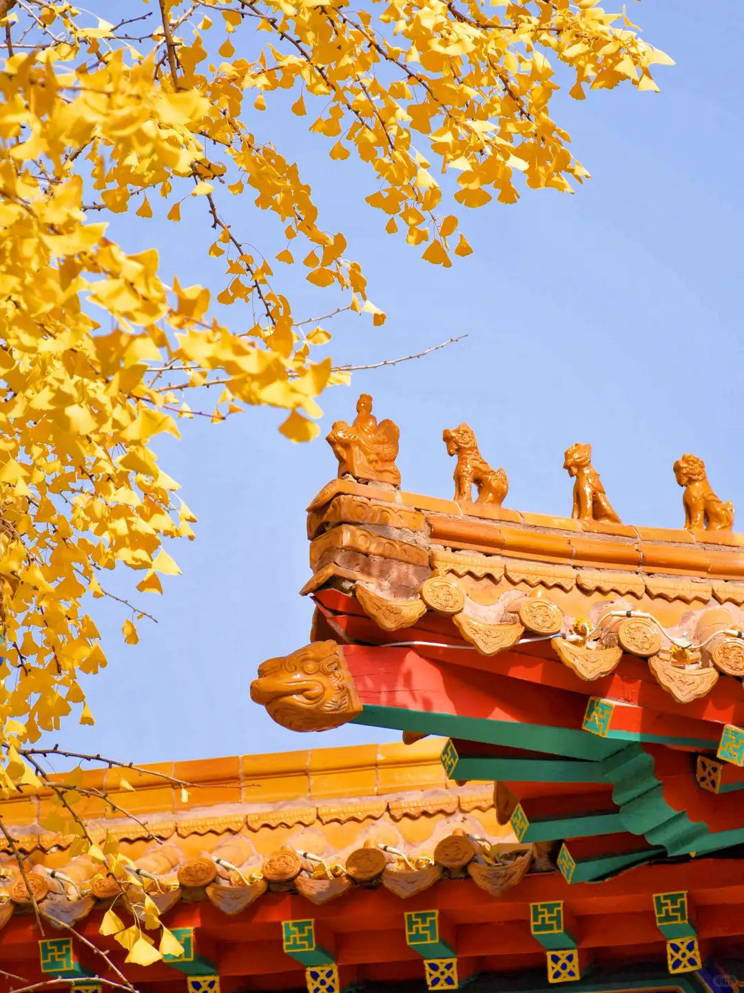 迄今为止，我最喜欢的秋季旅游城市出现了…