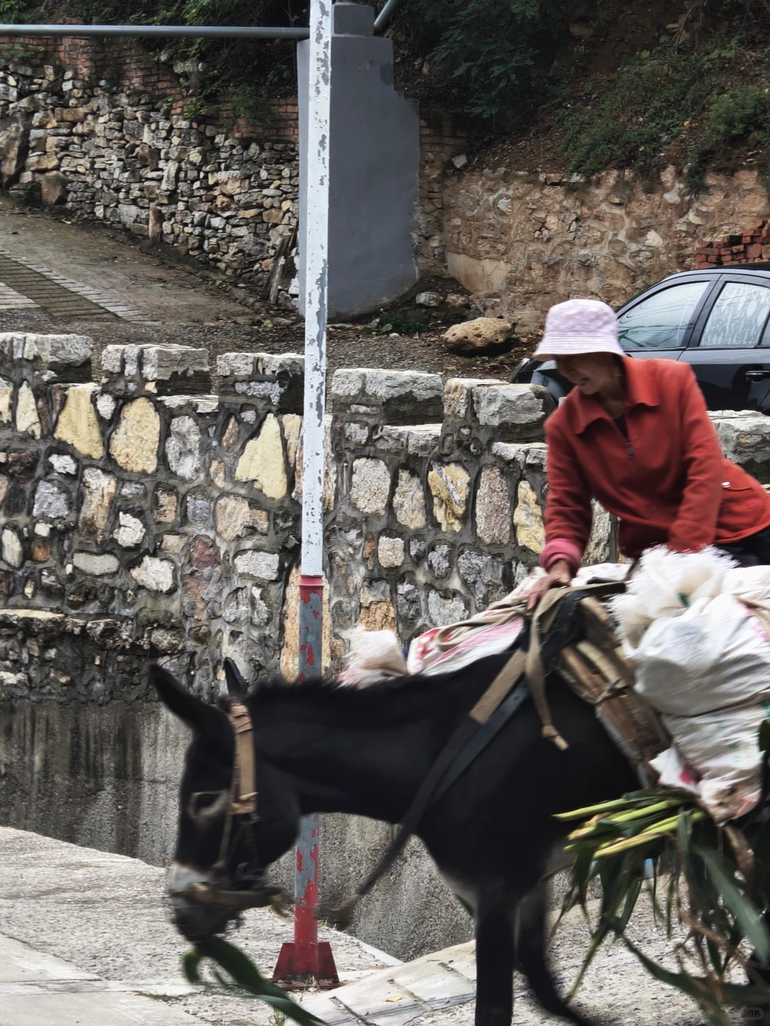 邯郸反向出行小众去处💡