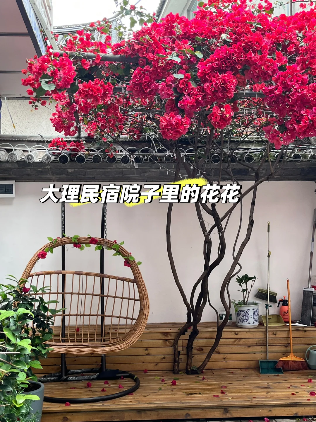 我的云南七日游攻略来啦✈️🌸