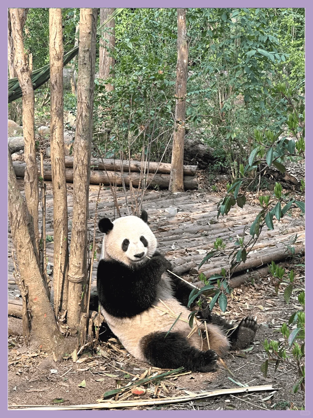 四川必游！首次旅行必打卡景点推荐