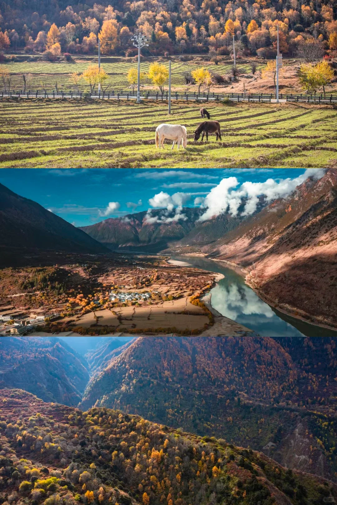 林芝的秋天旅游攻略
