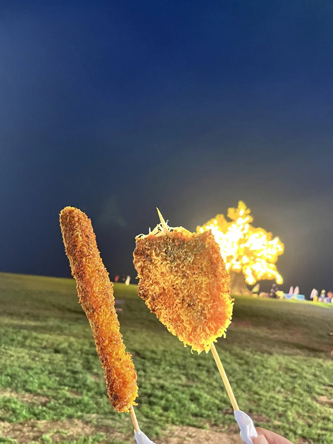 空中草原烟花大合唱 绝