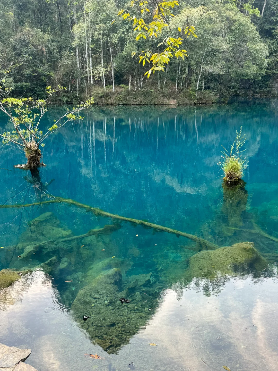 荔波小七孔-人间绿宝石